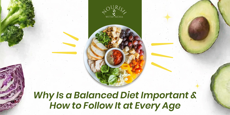 Why Is a Balanced Diet Important & How to Follow It at Every Age